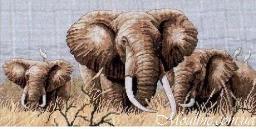 Вышивка крестиком Classic Design 4365 Африканские слоны Набор для вышивания нитками